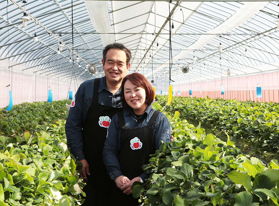 河合いちご農園