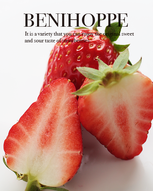 河合いちご農園の紅ほっぺ