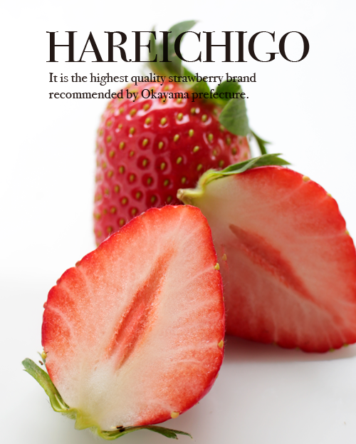 河合いちご農園の晴苺