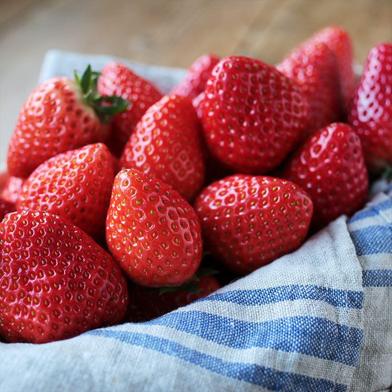 河合いちご農園