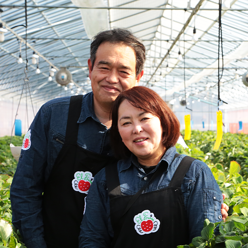 河合いちご農園