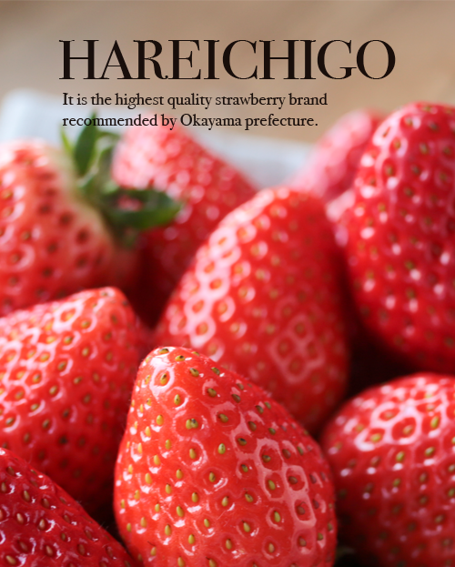 河合いちご農園の晴苺