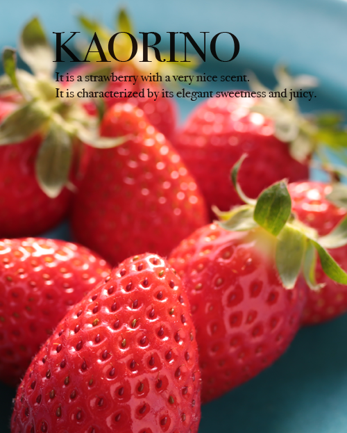 河合いちご農園のかおり野