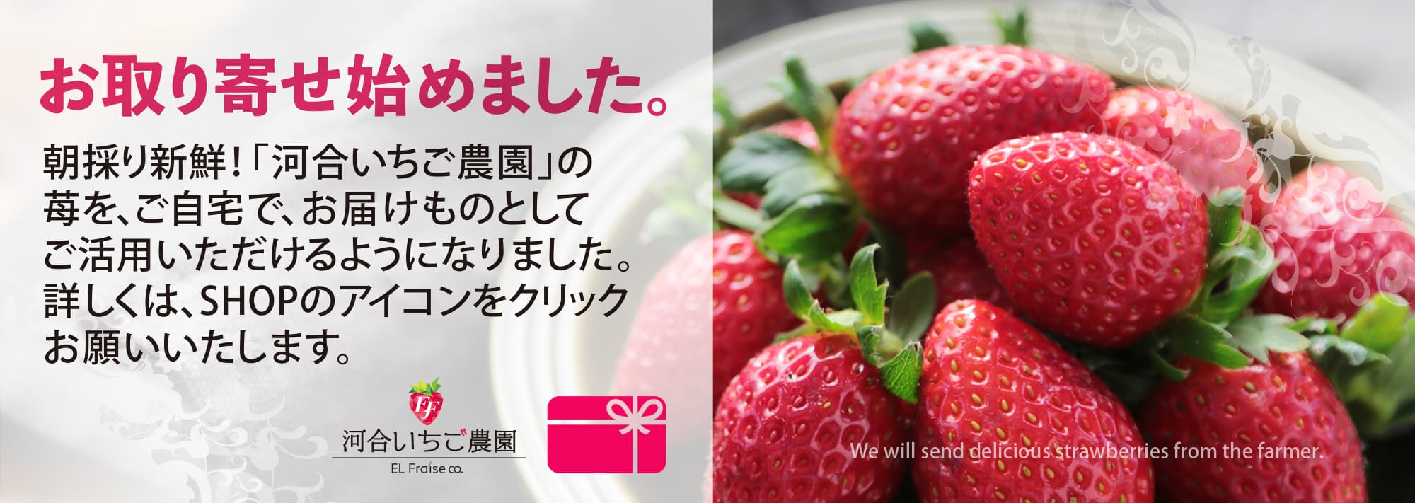 美味しい苺のお取り寄せ